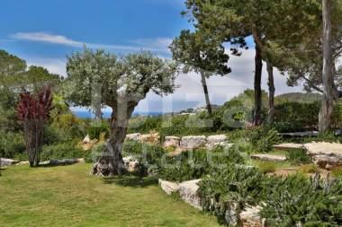ibiza-estate
