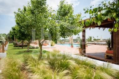 ibiza-estate