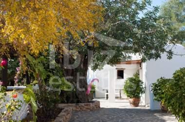 ibiza-estate