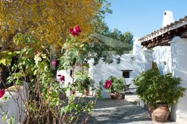 ibiza-estate