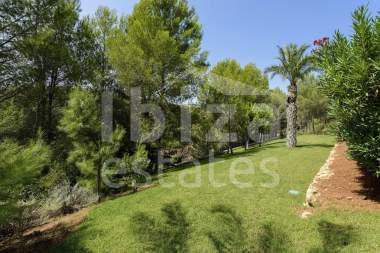 ibiza-estate