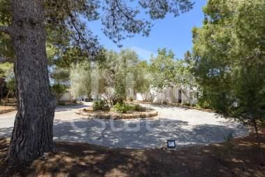 ibiza-estate