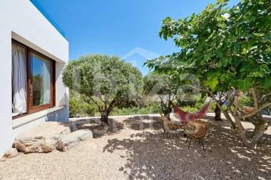 ibiza-estate