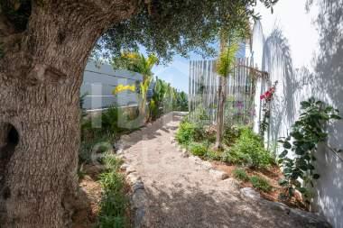 ibiza-estate
