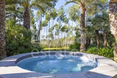 ibiza-estate