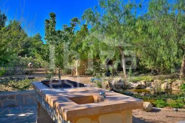 ibiza-estate
