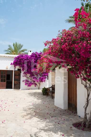 ibiza-estate