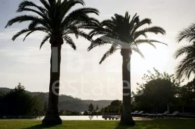 ibiza-estate