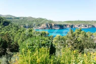 ibiza-estate