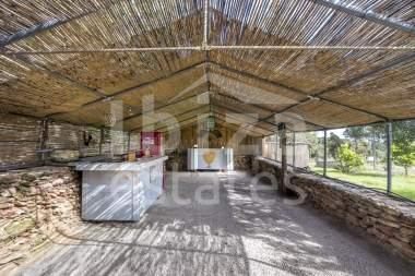 ibiza-estate