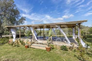 ibiza-estate