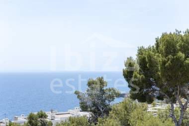 ibiza-estate