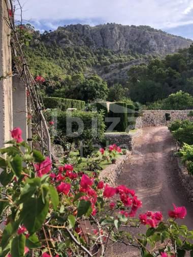 mallorca-estate