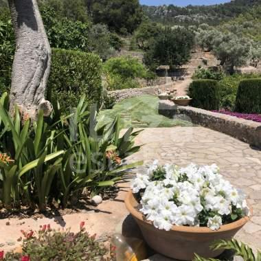 mallorca-estate