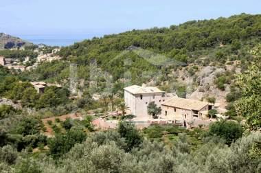 mallorca-estate