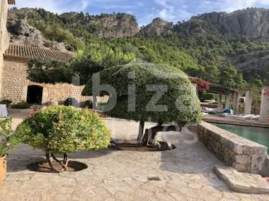 mallorca-estate