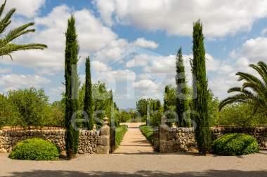mallorca-estate