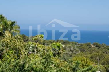 ibiza-estate