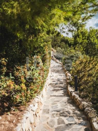 ibiza-estate