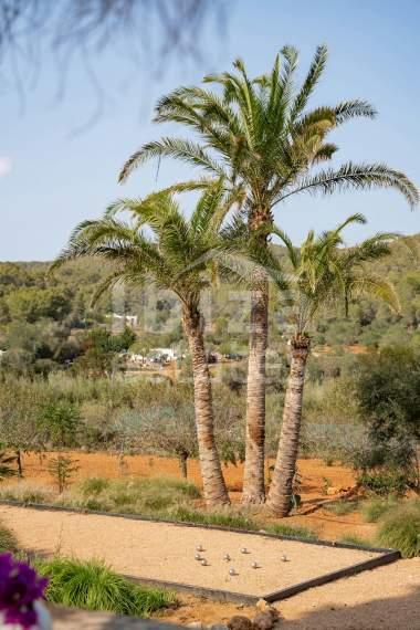 ibiza-estate