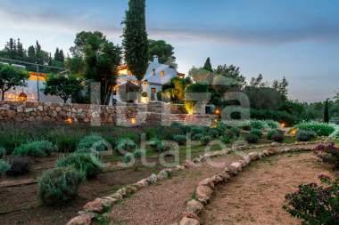 ibiza-estate