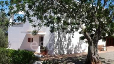 ibiza-estate
