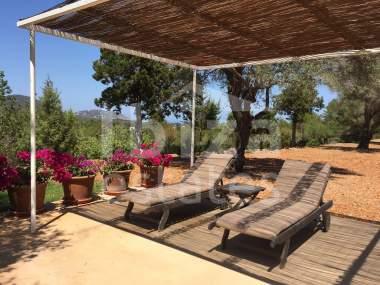 ibiza-estate