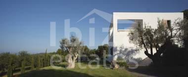 ibiza-estate