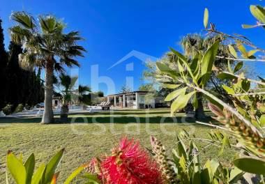 ibiza-estate
