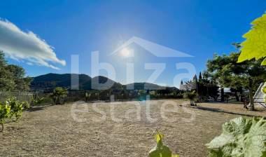 ibiza-estate