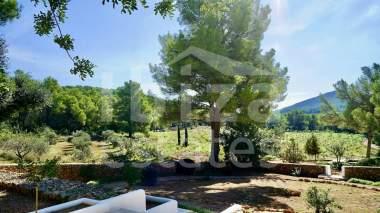 ibiza-estate