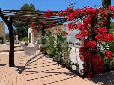 ibiza-estate