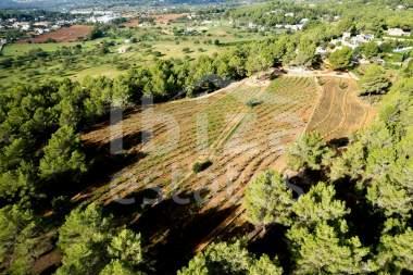 ibiza-estate