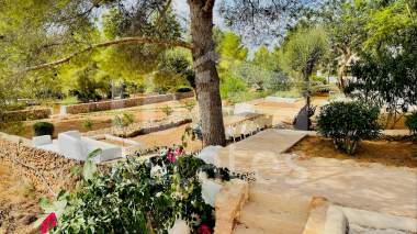 ibiza-estate