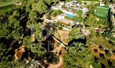 ibiza-estate