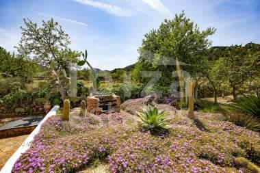 ibiza-estate