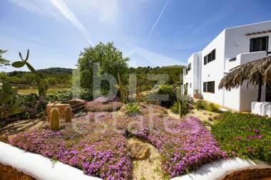 ibiza-estate