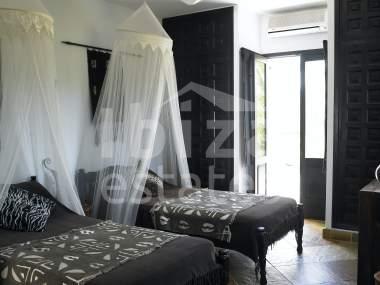 ibiza-estate