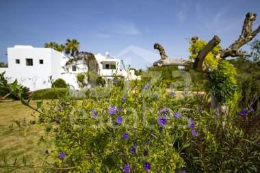 ibiza-estate