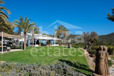 ibiza-estate