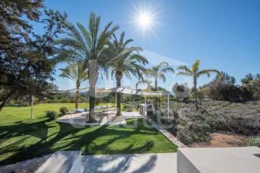ibiza-estate
