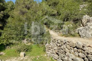 ibiza-estate