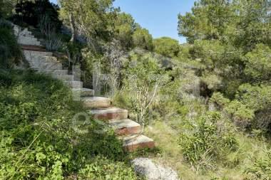 ibiza-estate