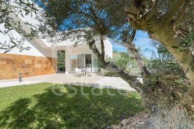 ibiza-estate
