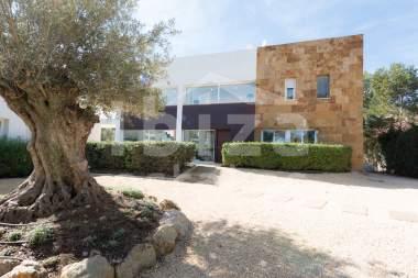 ibiza-estate