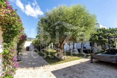 ibiza-estate