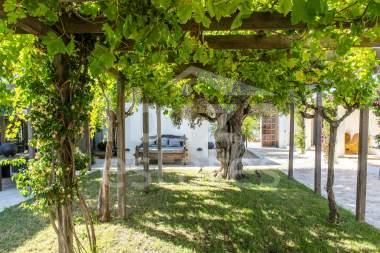 ibiza-estate