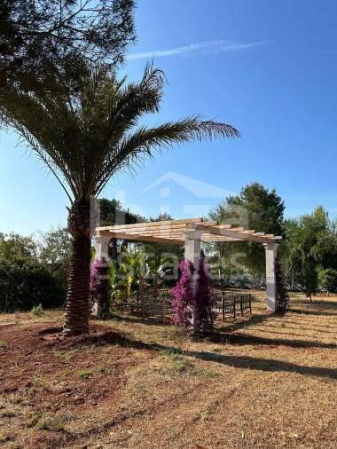 ibiza-estate