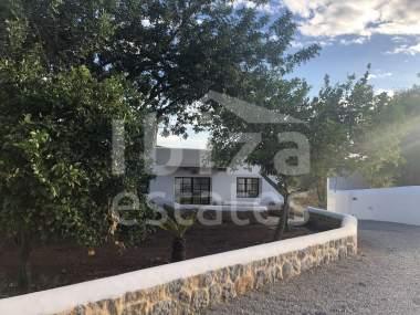 ibiza-estate