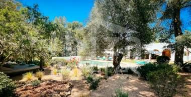 ibiza-estate